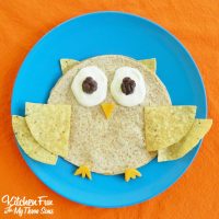 OwlQuesadilla