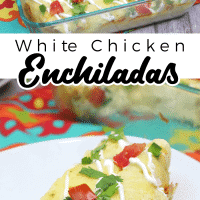 兴趣图形双片白鸡enchiladas