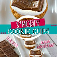 s'morescookie杯插针