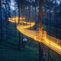 田纳西州的Treetop Skywalk