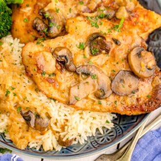 鸡肉玛萨拉（Chicken Marsala）功能